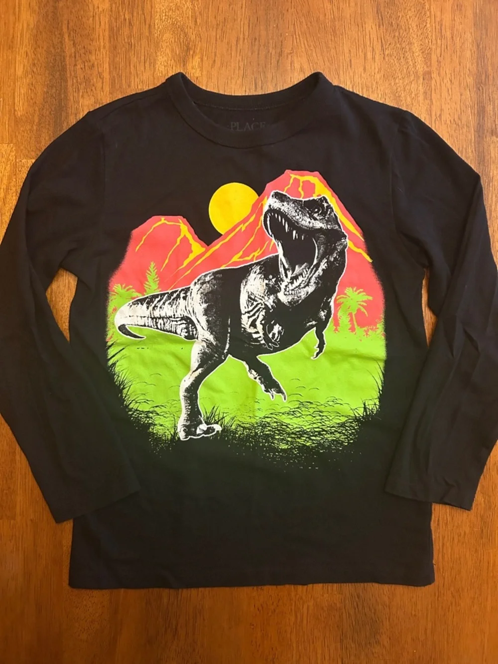 Black Long Sleeve Neon Dinosaur Graphic Tee | Boy S(5-6) | The Children’s Place